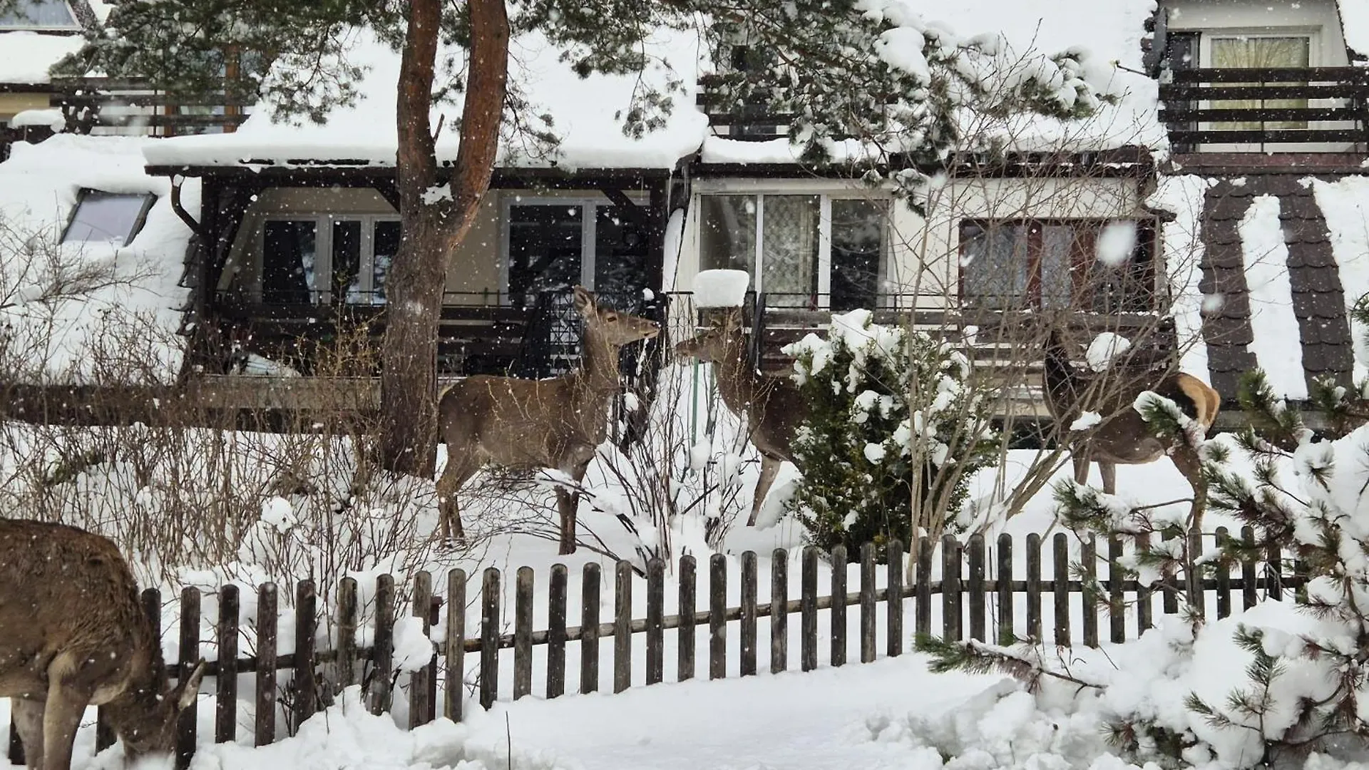 Apartament Wokol Stolu Zakopane Poland